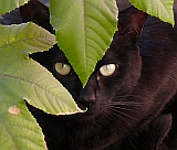 Benutzeravatar