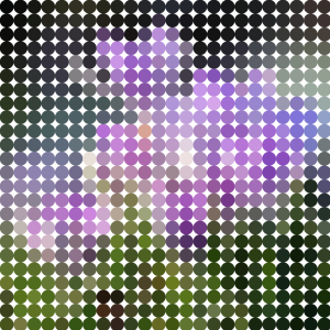 Mit Hintergrund.png