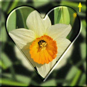 abgeschrägter Rand.jpg