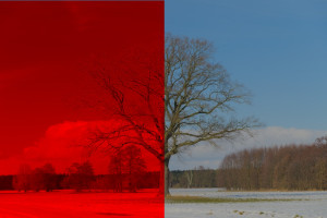 rot_konvertieren .jpg