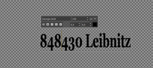 gimp1.JPG