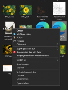svg öffnen.jpg
