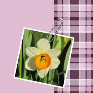 Test1.png
