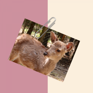 Besser.png