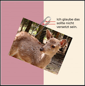 Avas Büroklammer.jpg