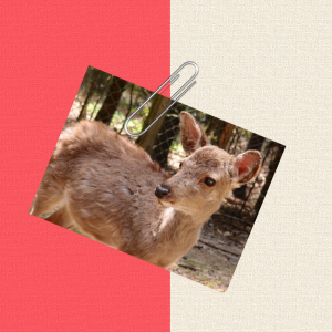 Besser.png